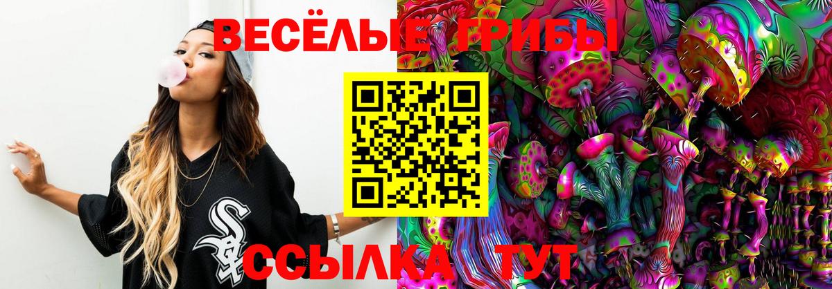 Тамбов  Галлюциногенные грибы Psilocybe  Вход с VPN 